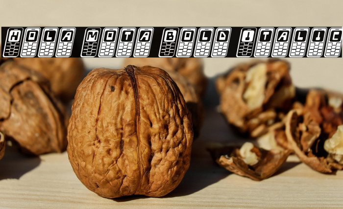 Hola Mota Bold Italic Example 2