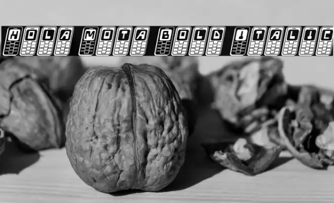 Hola Mota Bold Italic Font examples