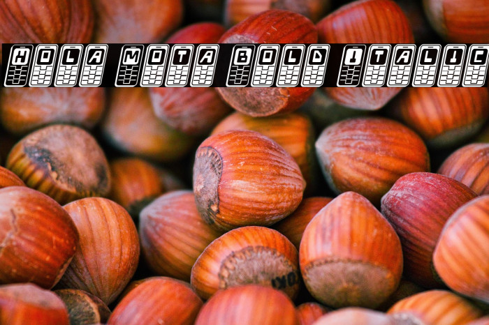 Hola Mota Bold Italic Example 3