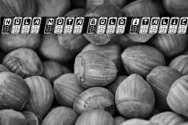 Hola Mota Bold Italic Font examples