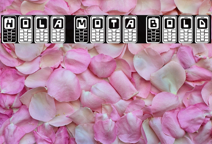 Hola Mota Bold Example 1