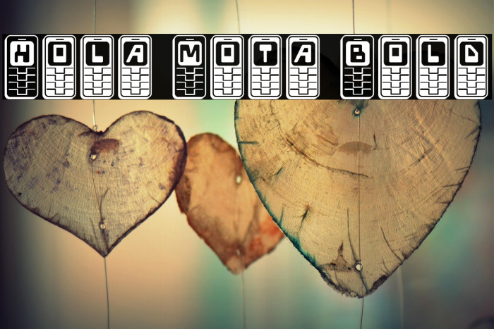 Hola Mota Bold Example 2