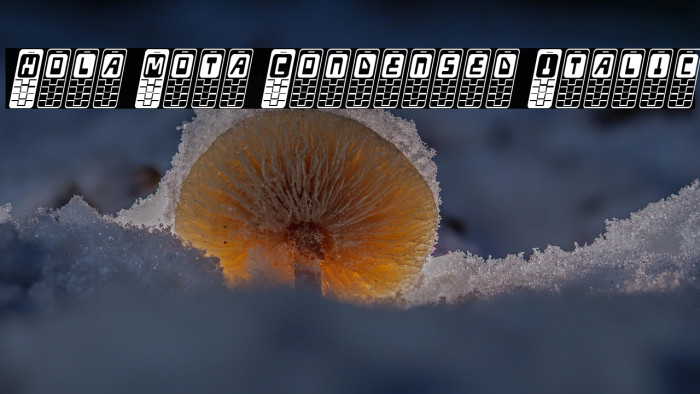 Hola Mota Condensed Italic Example 1