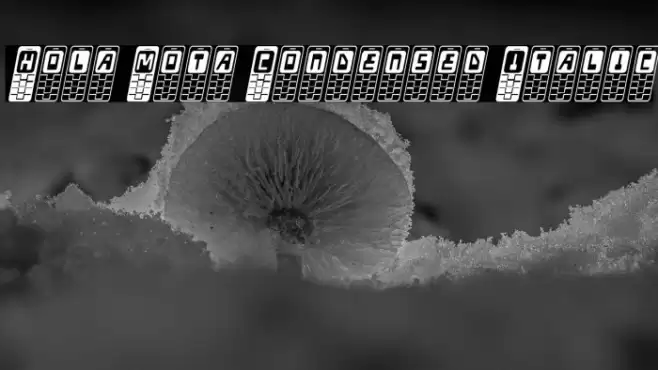 Hola Mota Condensed Italic Caratteri examples