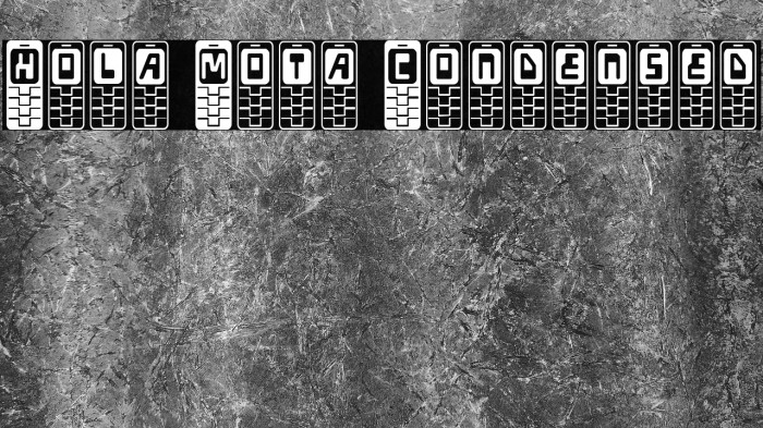 Hola Mota Condensed Example 2