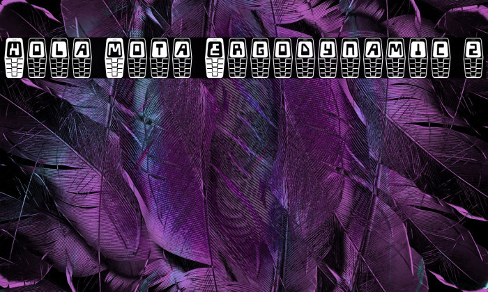 Hola Mota Ergodynamic 2 Example 1