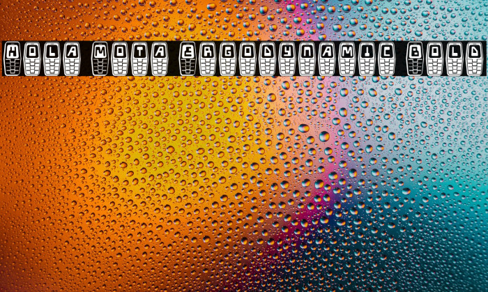 Hola Mota Ergodynamic Bold Example 1