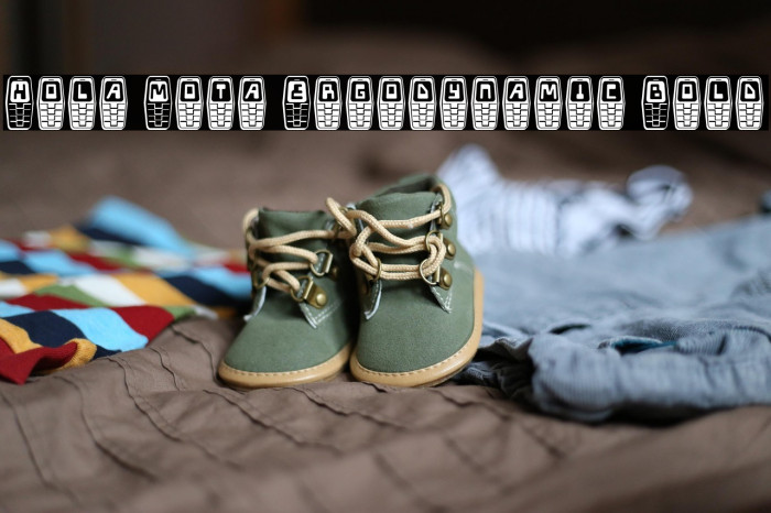 Hola Mota Ergodynamic Bold Example 2