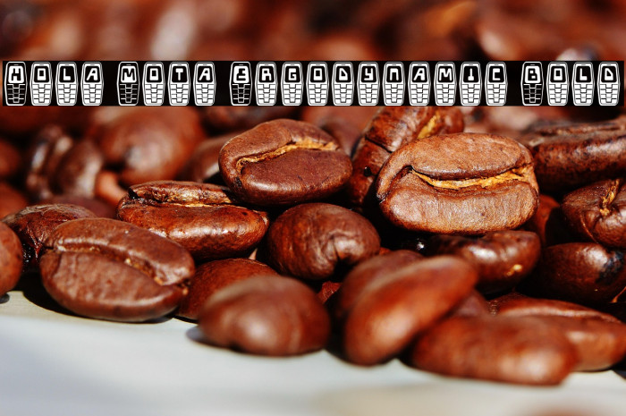 Hola Mota Ergodynamic Bold Example 3