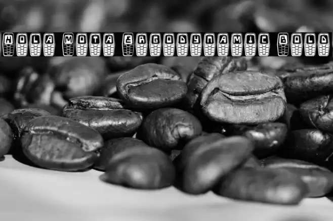 Hola Mota Ergodynamic Bold Font examples