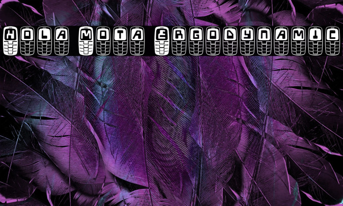 Hola Mota Ergodynamic Example 1