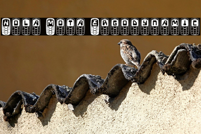 Hola Mota Ergodynamic Example 3