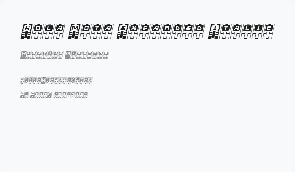 Hola Mota Expanded Italic Business Card