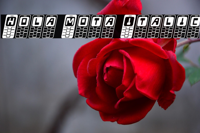 Hola Mota Italic Example 1