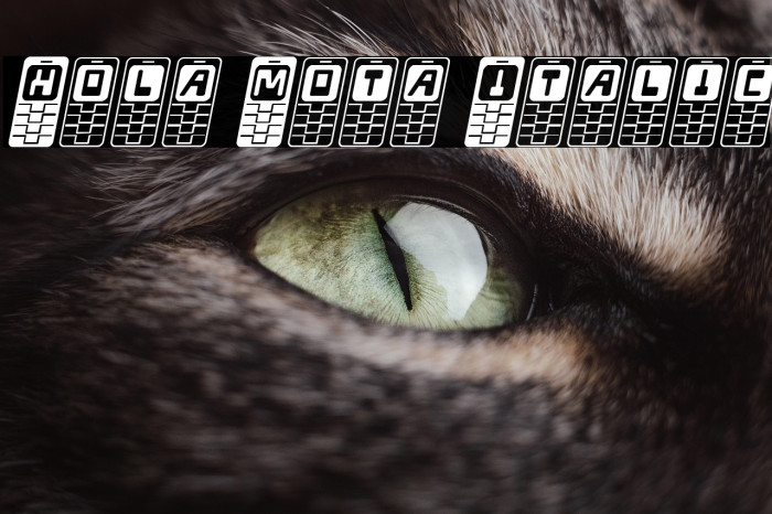 Hola Mota Italic Example 2