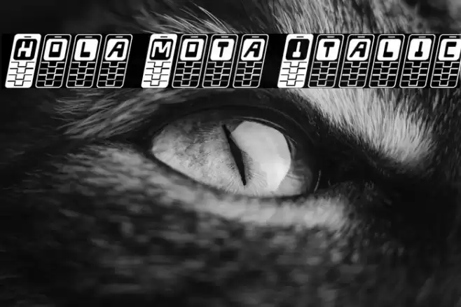 Hola Mota Italic Polices examples