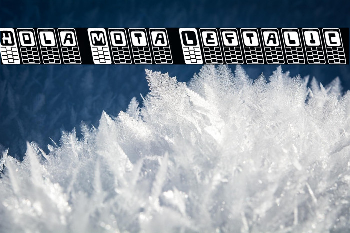 Hola Mota Leftalic Example 1