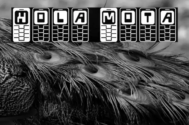 Hola Mota Font examples