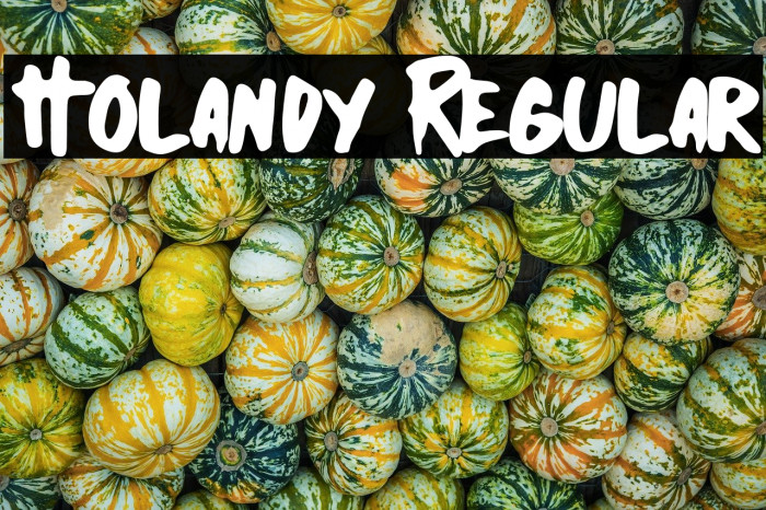 Holandy Regular Example 1