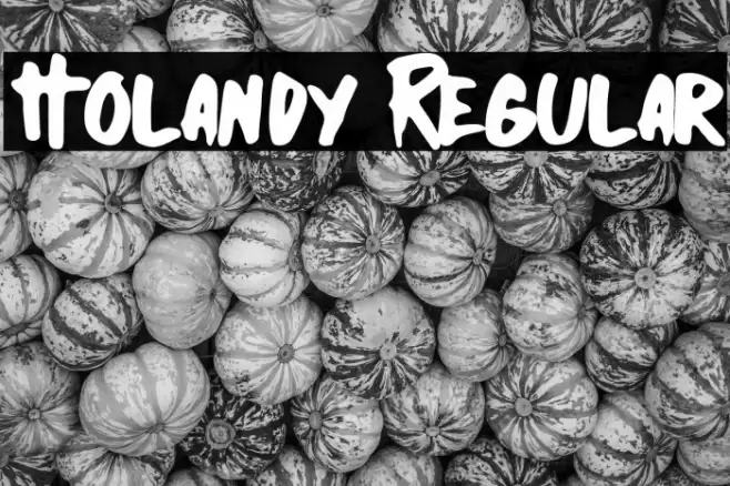 Holandy Regular Font examples