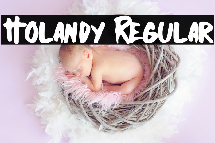 Holandy Regular Example 2