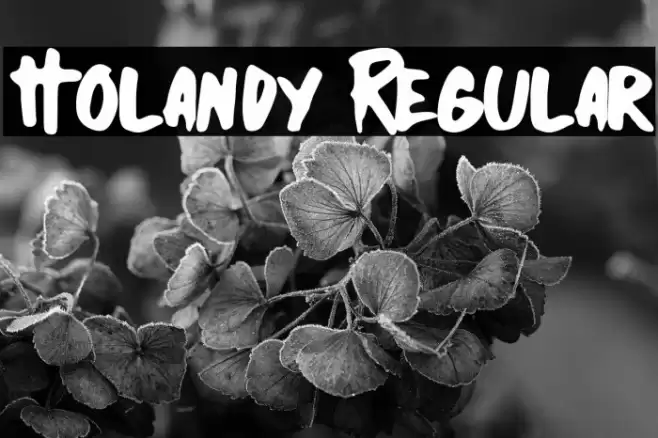 Holandy Regular Font examples