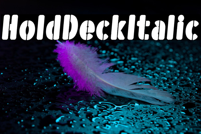 Hold Deck Italic Example 1