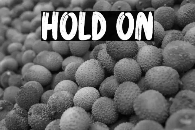 Hold On Font examples