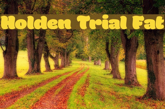 Holden Trial Fat Font examples