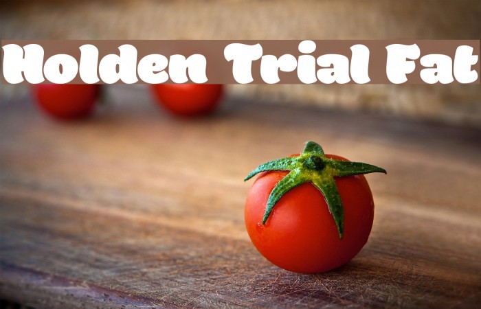 Holden Trial Fat Font examples