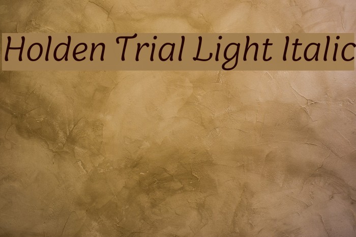 Holden Trial Light Italic Font examples