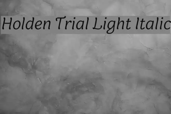 Holden Trial Light Italic Font examples