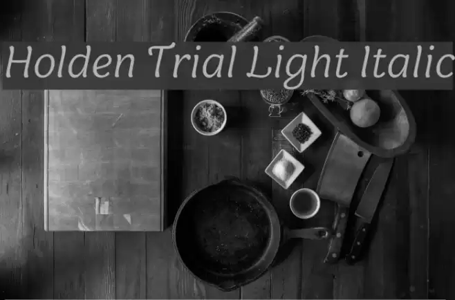 Holden Trial Light Italic Font examples