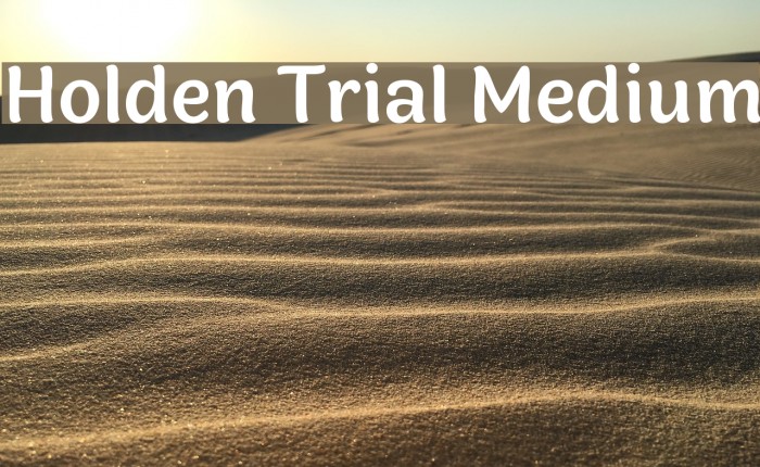 Holden Trial Medium Font examples