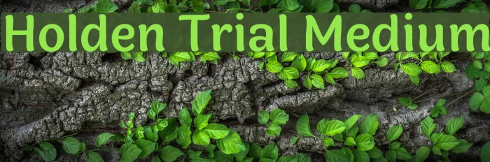 Holden Trial Medium Font examples