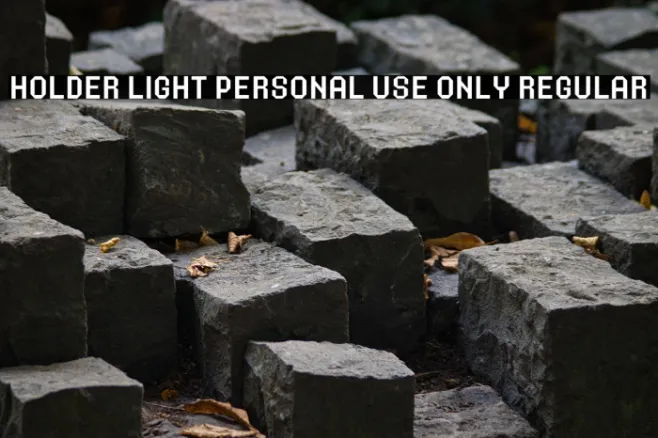 Holder Light PERSONAL USE ONLY Regular Example 1