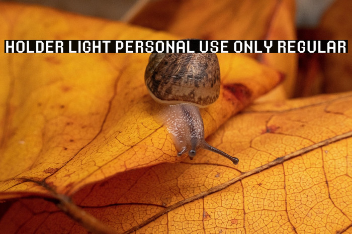 Holder Light PERSONAL USE ONLY Regular Example 2