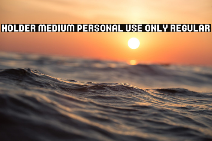 Holder Medium PERSONAL USE ONLY Regular Example 1