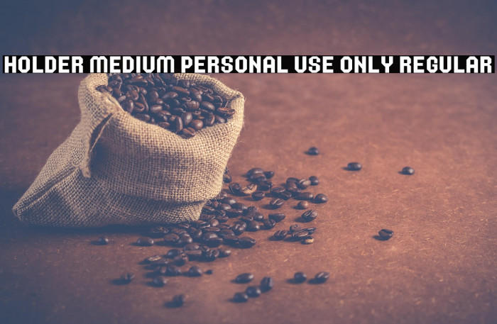 Holder Medium PERSONAL USE ONLY Regular Example 2