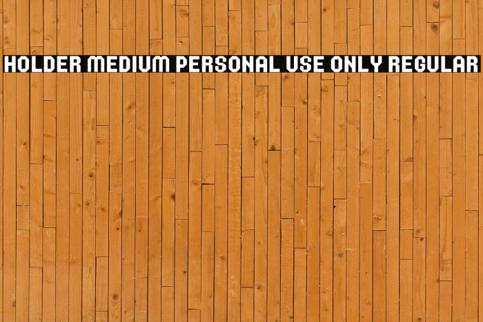 Holder Medium PERSONAL USE ONLY Regular Example 3