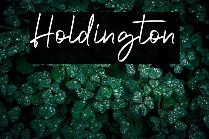 Holdington Example 2