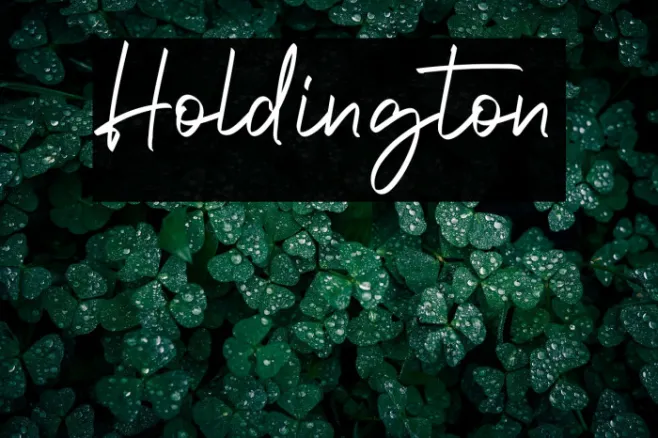 Holdington Example 2