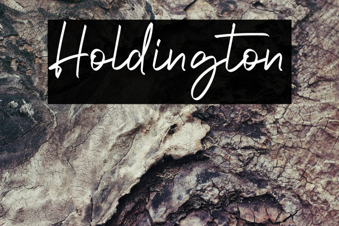 Holdington Example 3