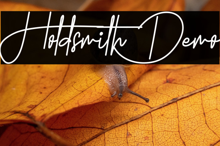 Holdsmith Demo Example 1