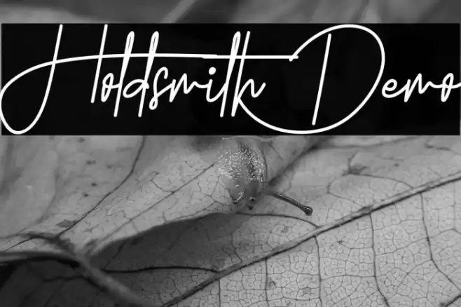 Holdsmith Demo Шрифта examples