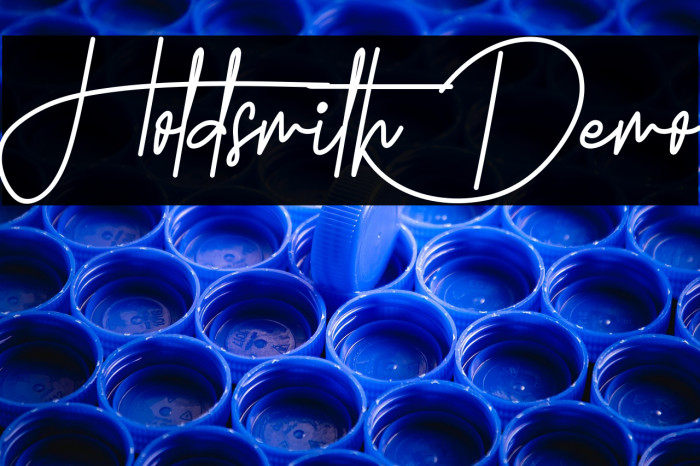 Holdsmith Demo Example 2