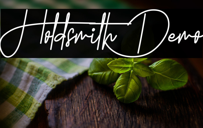 Holdsmith Demo Example 3