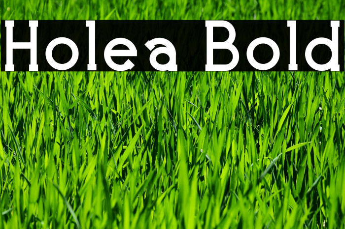 Holea Bold Font examples