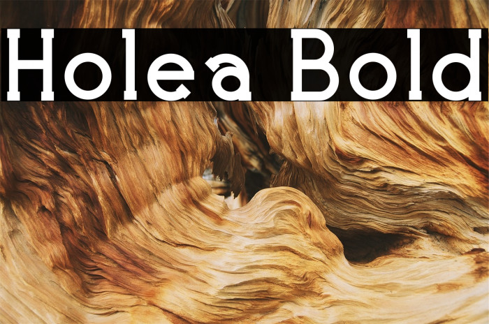 Holea Bold Font examples