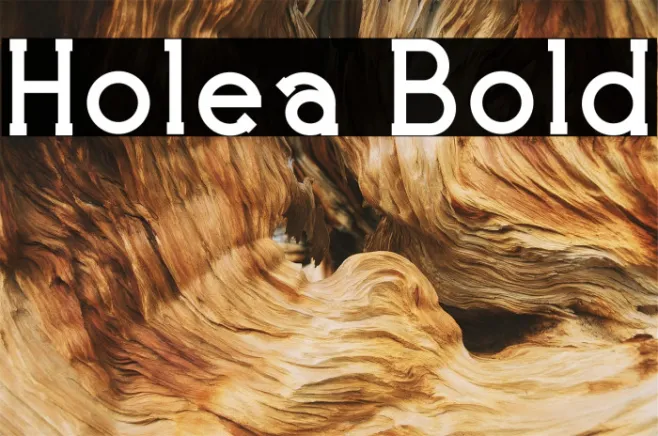 Holea Bold Example 2